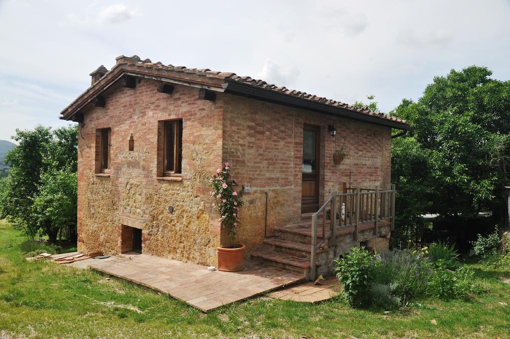 Colombino