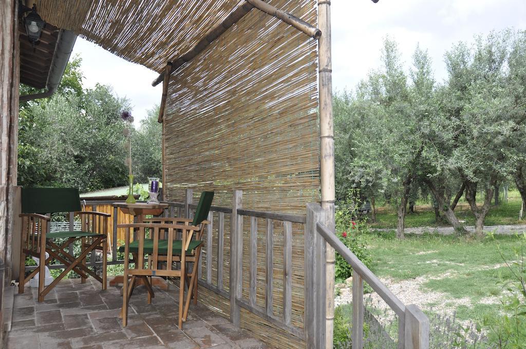 Farm stay Agriturismo Colombino